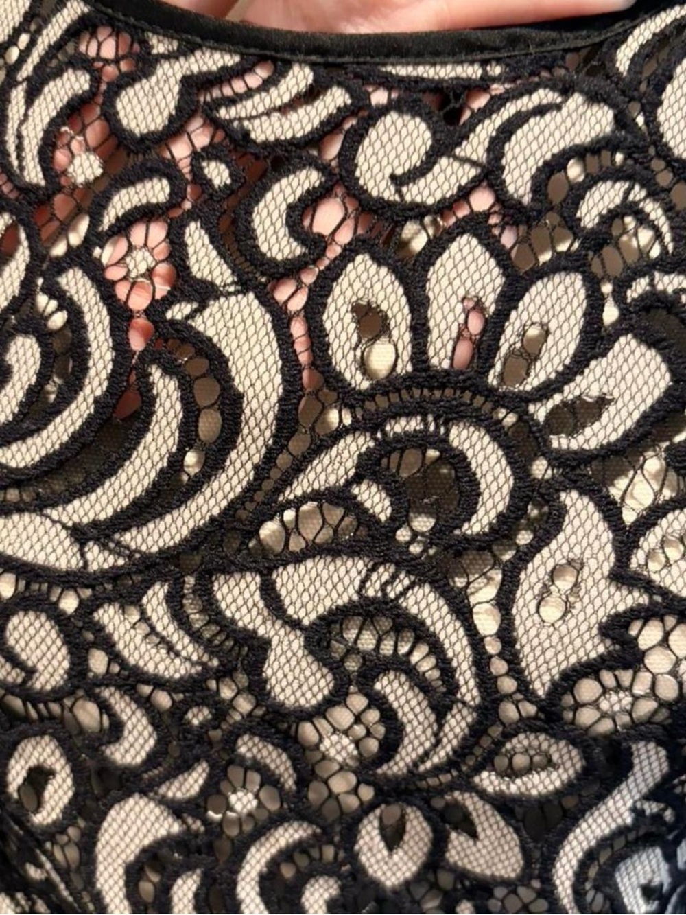 Express Lace Top - Picture 4 of 6